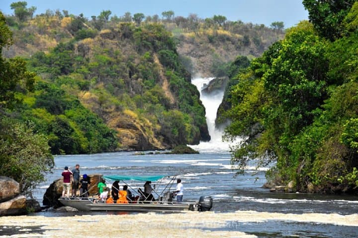 Uganda 10-Day Wildlife Gorilla Safari: Big Five, Gorillas & Lakes photo 4