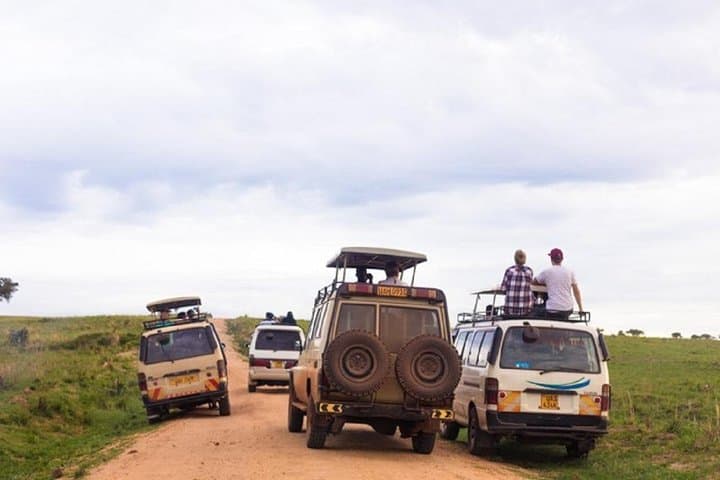 Uganda 10-Day Wildlife Gorilla Safari: Big Five, Gorillas & Lakes photo 5