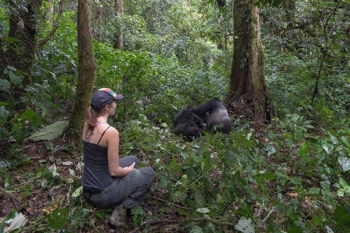 Uganda 10-Day Wildlife Gorilla Safari: Big Five, Gorillas & Lakes photo 2