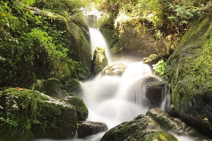 Bishnu Dwar Shivapuri Day Hike from Kathmandu: Ridge Views & Sacred Springs photo 4