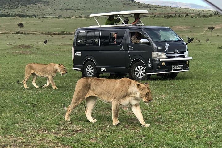 9-Day Kenya & Tanzania Budget Safari: Masai Mara, Serengeti & Ngorongoro