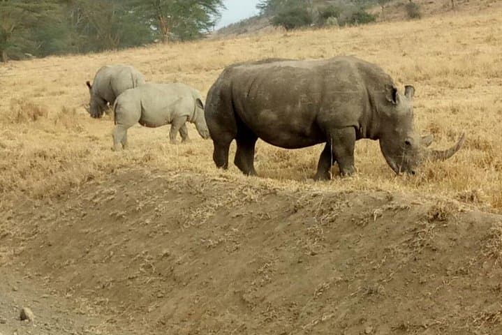 9-Day Kenya & Tanzania Budget Safari: Masai Mara, Serengeti & Ngorongoro photo 6