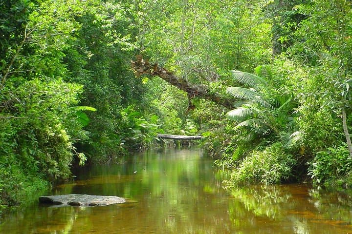 Phnom Kulen Waterfall & 1000 Lingas River: Private Day Tour from Siem Reap photo 5