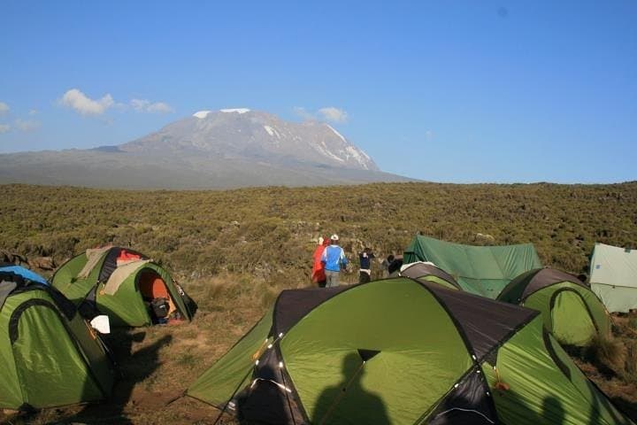 5-Day Marangu Route Kilimanjaro Summit Trek from Moshi