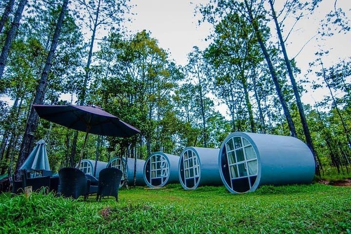 Kirirom National Park Day Tour from Phnom Penh — Pine Forests, Waterfalls & Lake Walks photo 3