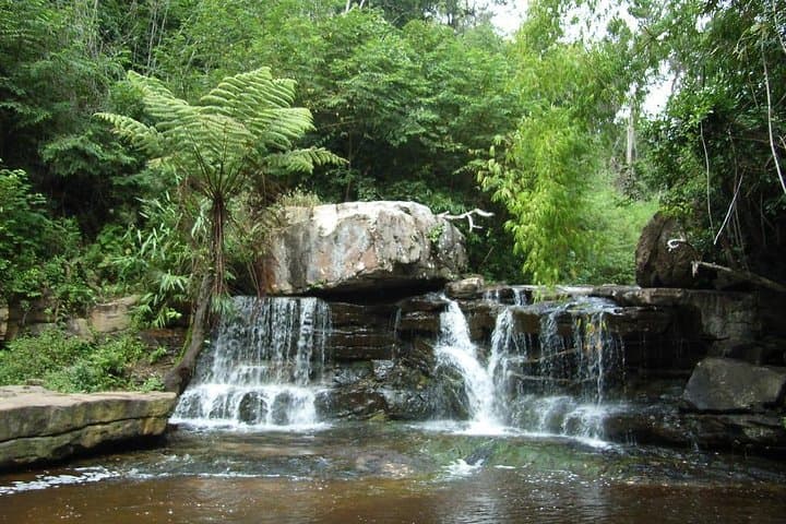 Kirirom National Park Day Tour from Phnom Penh — Pine Forests, Waterfalls & Lake Walks photo 5