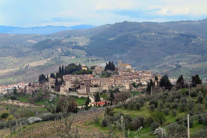 Chianti Eno-Excursion: Walking the Vineyards and Tasting Wines at Montefioralle photo 2