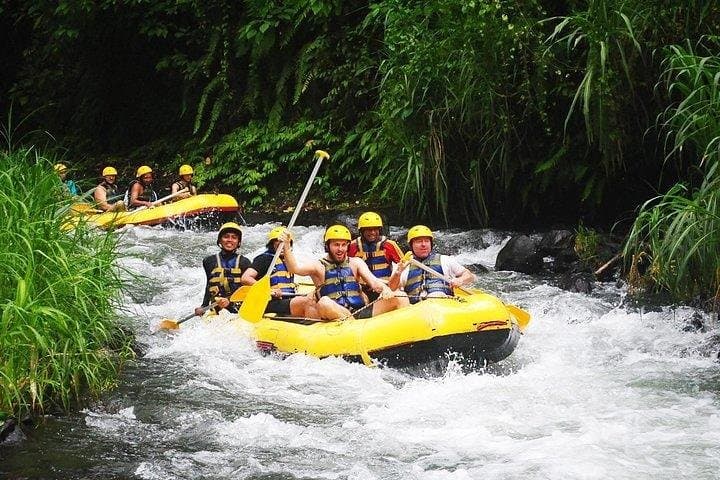 Bali Private Car Rental with Chinese-Speaking Guide — 12-Hour Custom Tour photo 5