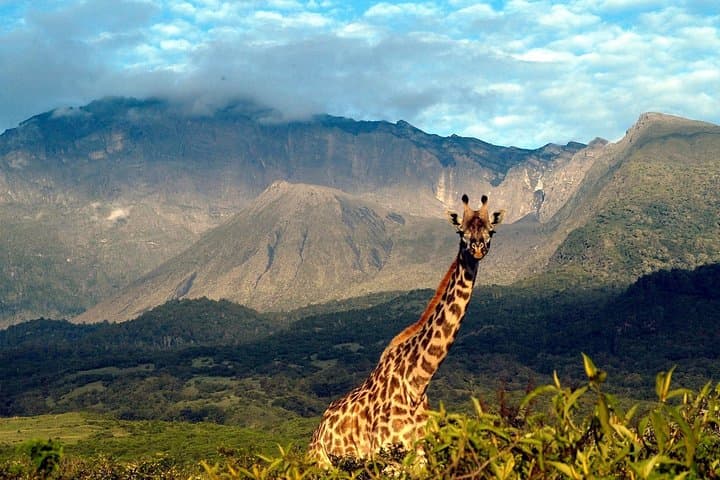 Mt Meru Trek: 4-Day Summit Trek in Arusha National Park