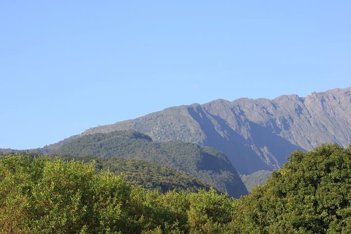 Mt Meru Trek: 4-Day Summit Trek in Arusha National Park photo 4