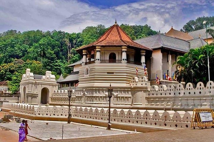 Private Day Tour to Kandy from Colombo: Temple, Tea & Spice Gardens