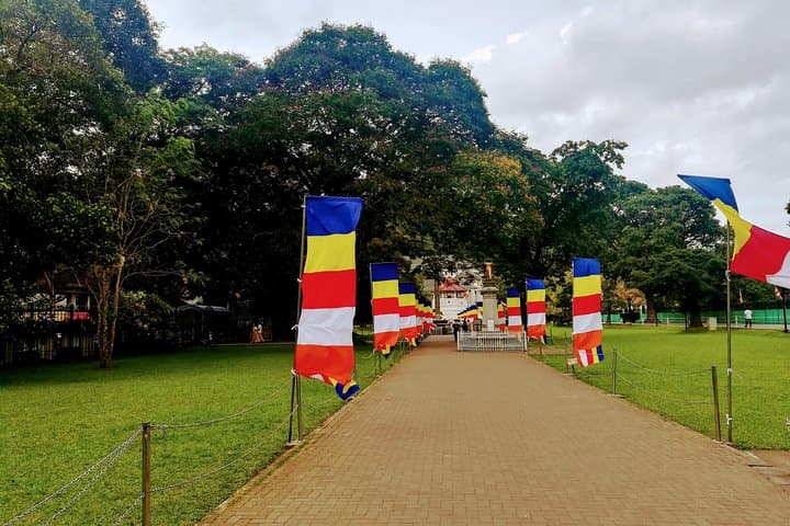 Private Day Tour to Kandy from Colombo: Temple, Tea & Spice Gardens photo 2