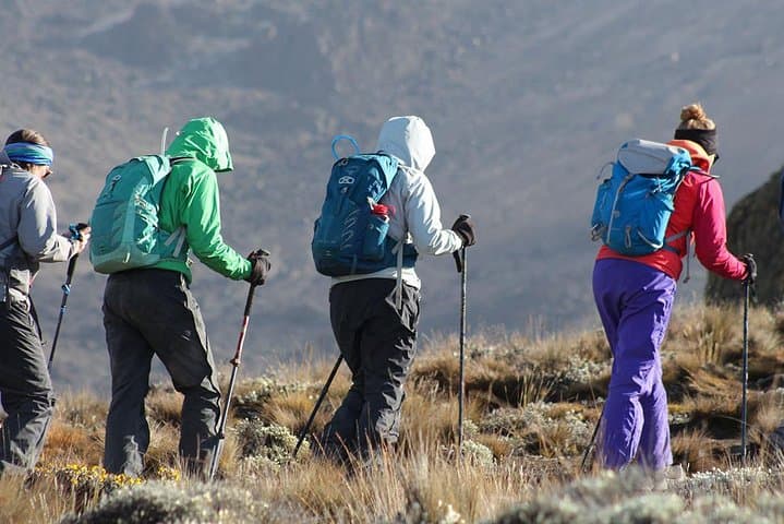 Day Trip to Kilimanjaro's Shira Plateau from Moshi — 4WD Drive and High-Altitude Trek