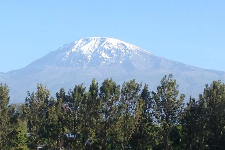 Day Trip to Kilimanjaro's Shira Plateau from Moshi — 4WD Drive and High-Altitude Trek photo 2