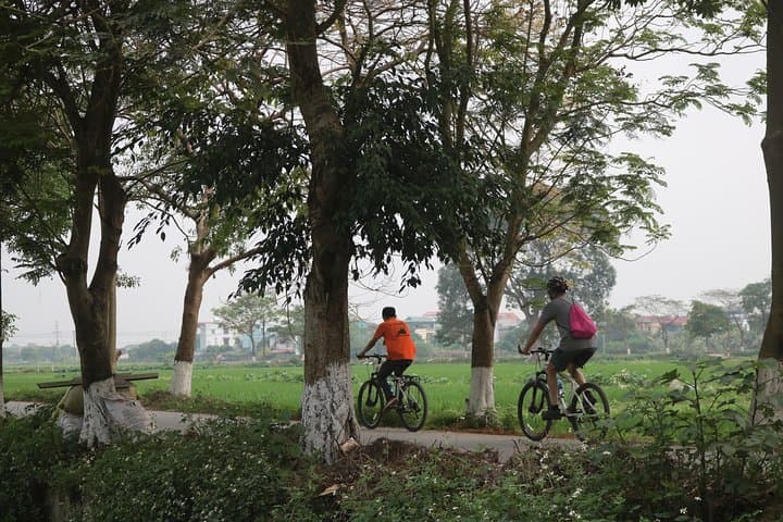 Full-Day Bicycle Tour of Red River Delta & Co Loa Ancient Citadel photo 4
