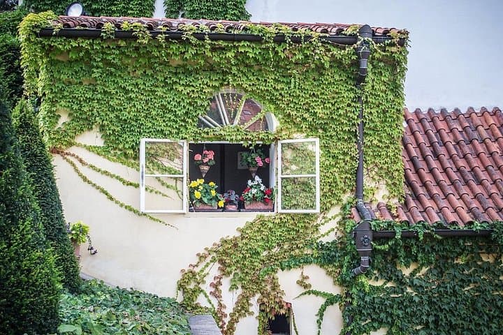 Green Walk in Prague: Historic Gardens, Kampa & Botanical Gems photo 6