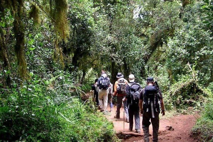 5-Day Mt Kenya Chogoria-to-Sirimon Climb — Point Lenana Sunrise Trek