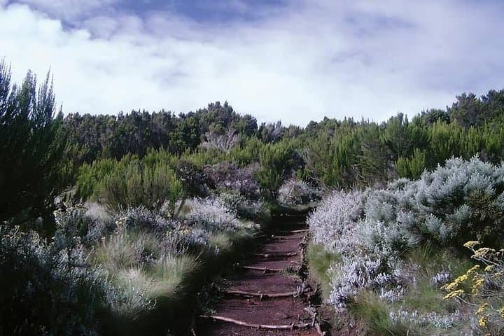 5-Day Mt Kenya Chogoria-to-Sirimon Climb — Point Lenana Sunrise Trek photo 6