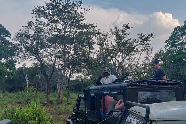 Hurulu Eco Park Safari: Wild Elephants & Birding from Habarana photo 3