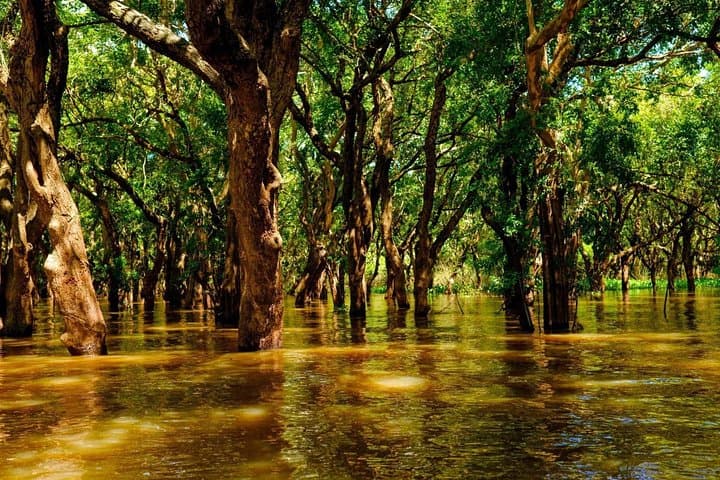 Tonle Sap & Kampong Phluk: Half-Day Boat Tour to the Stilt Village photo 6