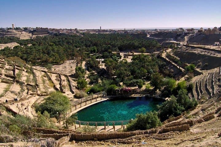 8-Day Tunisia Essential Discovery Private Tour From Tunis to the Sahara photo 6