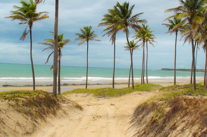 Lagoinha Beach Tour: Day Trip to Ceará’s Dunes, Lagoons & Reefs photo 2