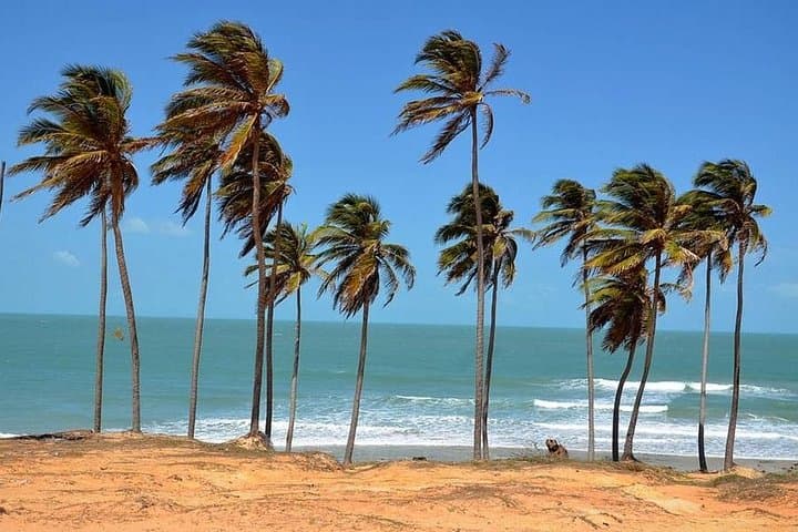Lagoinha Beach Tour: Day Trip to Ceará’s Dunes, Lagoons & Reefs photo 3