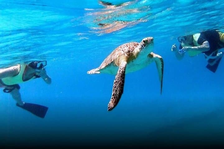 Snorkel the Virgin Islands National Park: Half-Day Boat Excursion from St. Thomas photo 3