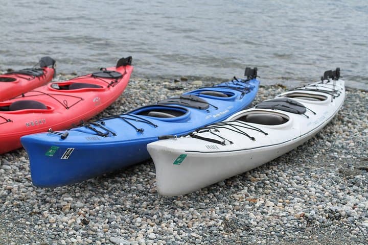 Inside Passage Sea Kayaking in Haines: Guided Ocean Kayak Tour with Beach Picnic photo 2