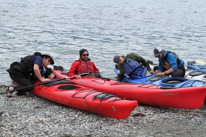 Inside Passage Sea Kayaking in Haines: Guided Ocean Kayak Tour with Beach Picnic photo 3