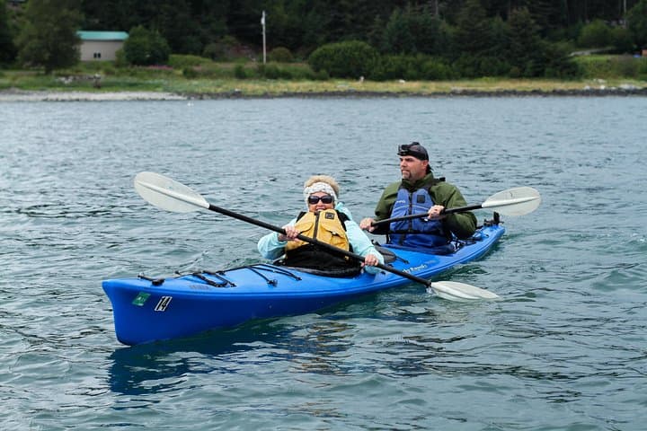 Inside Passage Sea Kayaking in Haines: Guided Ocean Kayak Tour with Beach Picnic photo 4