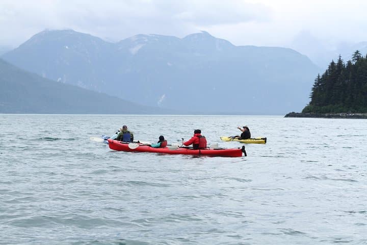 Inside Passage Sea Kayaking in Haines: Guided Ocean Kayak Tour with Beach Picnic photo 5