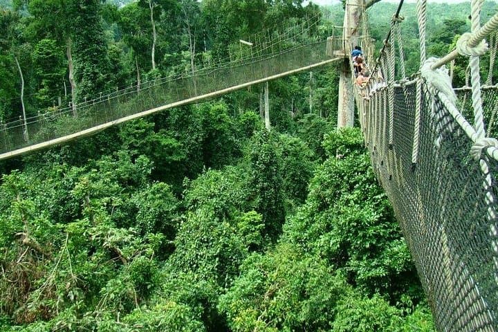 6-Day Private Hiking Tour in Ghana: Kakum Canopy, Wli Waterfalls & Mount Afadjato photo 1