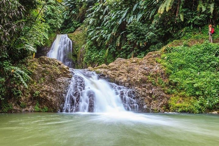 Guide to Waterfall Hikes Around St. George's, Grenada: Swim, Scramble, and Sample Local Fruit photo 3