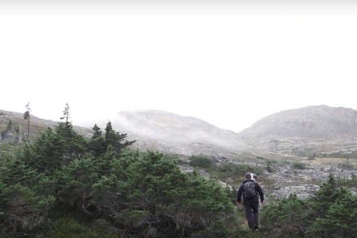 Conquer Alaska’s White Pass: A Challenging Mountaineering Adventure photo 6