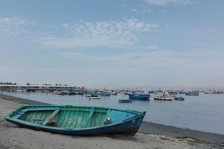 Private Ultimate Coastal Journey: Ballestas Islands, Paracas Reserve & Huacachina Dunes photo 2