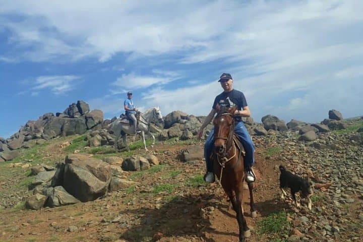 Private Sunset Horseback Ride in Aruba — Palm Beach Ranch Tour photo 6