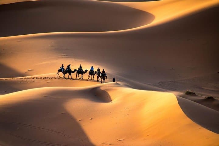 3-Day Shared Sahara Tour: Marrakech to Merzouga Dunes and Fes photo 2