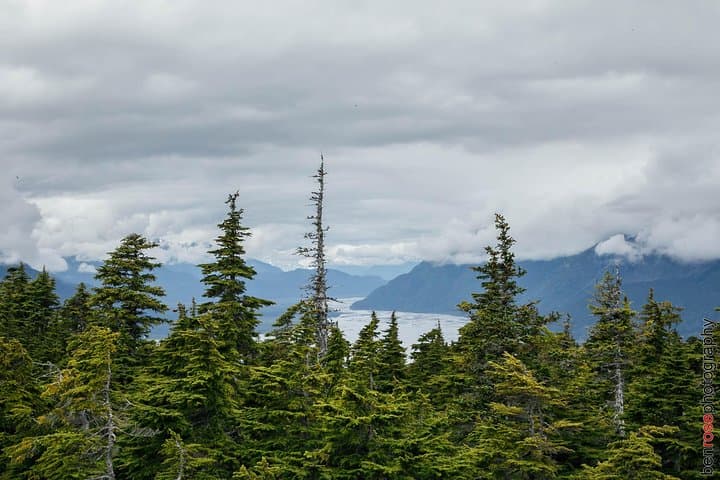 Mount Riley Hike from Haines: Full-Day Summit with Lynn Canal Views photo 2