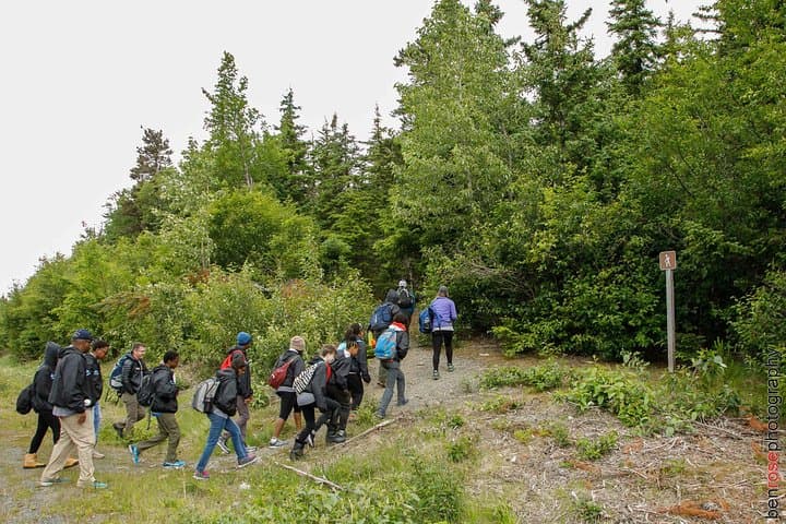 Mount Riley Hike from Haines: Full-Day Summit with Lynn Canal Views photo 3