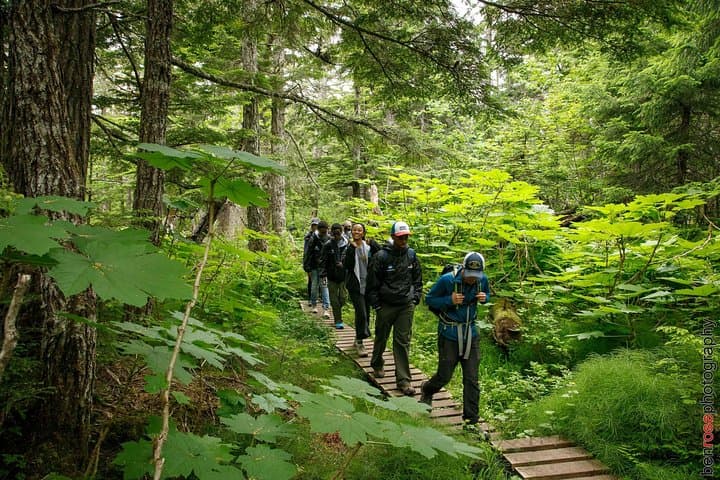 Mount Riley Hike from Haines: Full-Day Summit with Lynn Canal Views photo 5