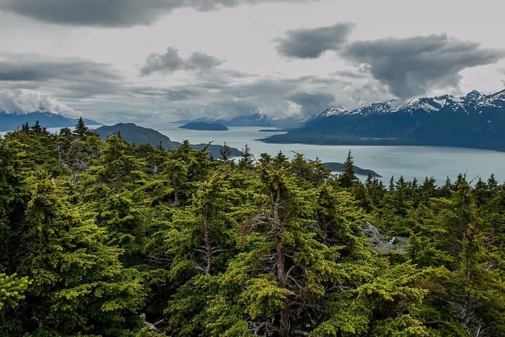 Mount Riley Hike from Haines: Full-Day Summit with Lynn Canal Views photo 6