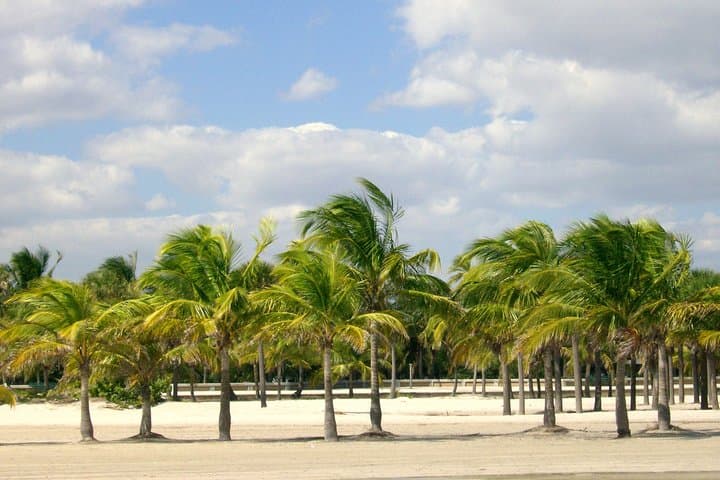 Miami From MIA: Private 4-Hour City Highlights Tour photo 4