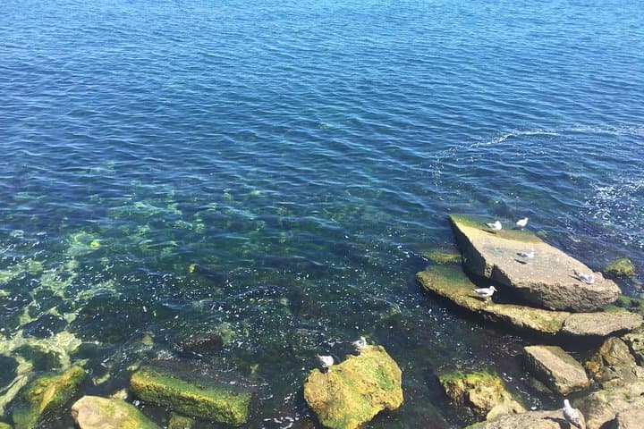 Constanta History and Mamaia Beach Private Day Trip: Explore the Black Sea Coast photo 6