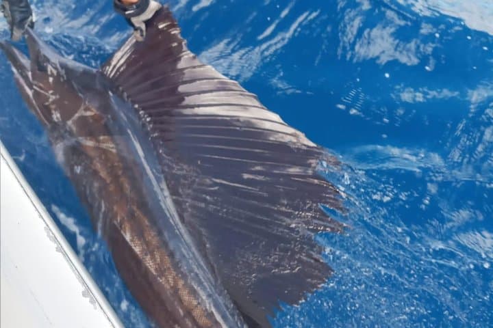 Bonaire 8-Hour Fishing Charter: Offshore Trolling for Mahi, Tuna and Wahoo photo 4