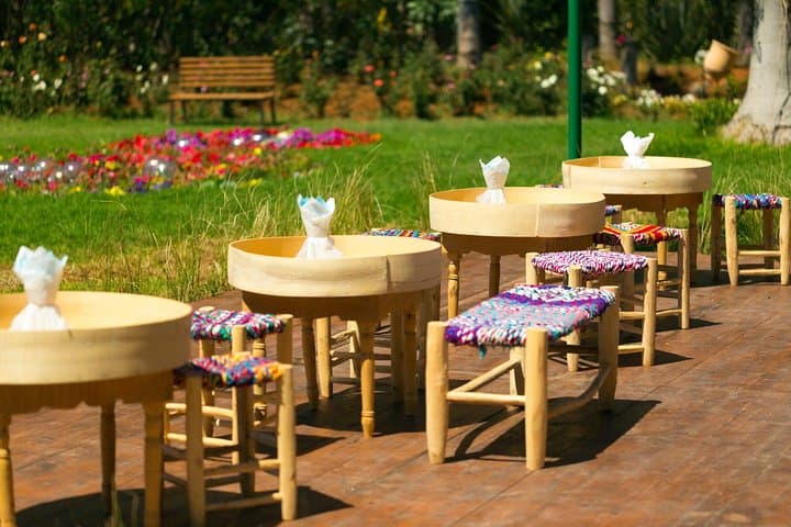 Half-Day Marrakech Gardens Tour — Majorelle, Menara & Anima photo 3