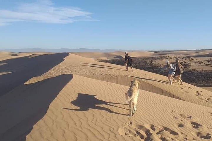 Agadir Desert Jeep Trip: Tifnit Coast, Souss-Massa Wildlife & Berber Village Lunch photo 2