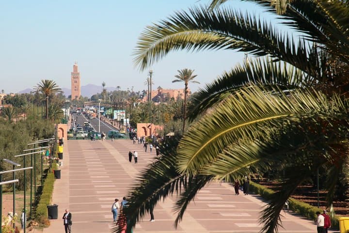 Half-Day Marrakech Gardens Tour — Majorelle, Menara & Anima photo 6