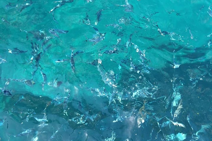 Capri Private Yacht Tour: Hidden Grottos, Snorkel & Roman Ruins photo 4
