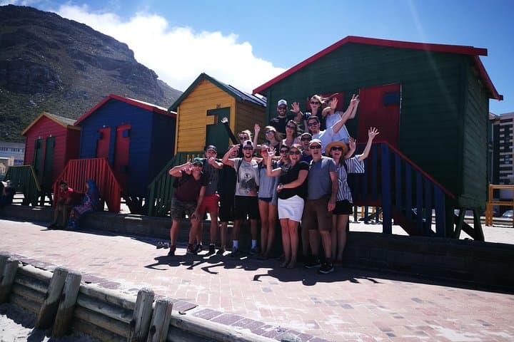 Private Cape Peninsula Highlights: Chapman's Peak, Cape Point & Boulders Beach Day Tour photo 5